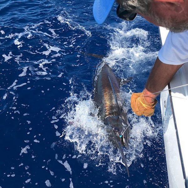 https://tropicalsunsportfishing.com/wp-content/uploads/2024/12/Fantastic-Crew.jpg
